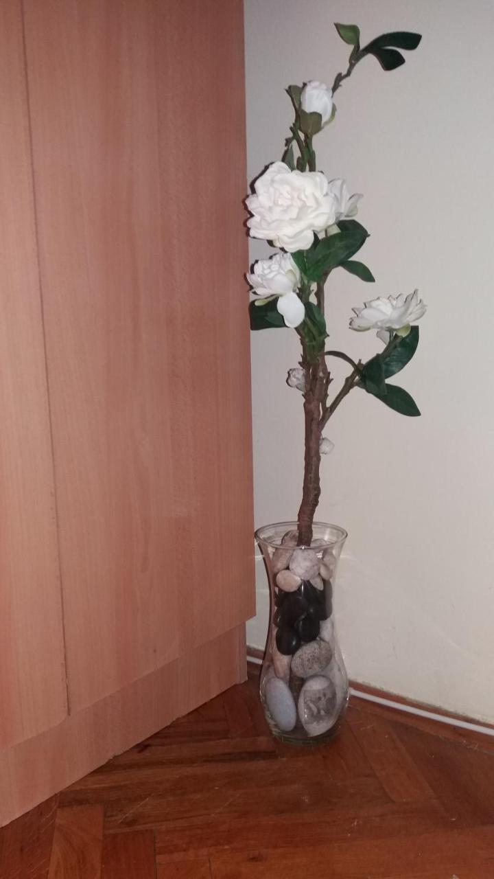 Sweet Home Center Apartment Novi Sad Ngoại thất bức ảnh